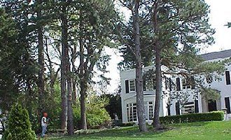 Tree Service - Tree Pruning in Elkhorn, NE Tree Service - Tree Pruning in Elkhorn, NE