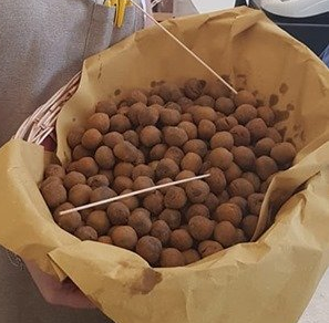 olive ascolane fritte
