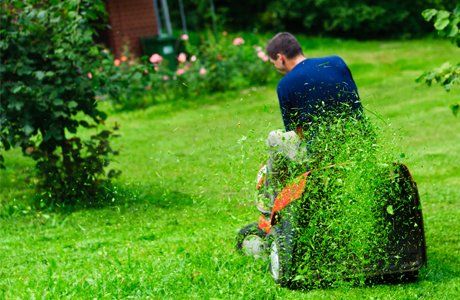 Need your lawnmower serviced?