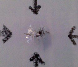 Windshield Chip Before — Windshield Repair in Garden City, KS