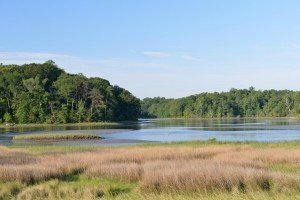 Scenic Indian Field Creek in Yorktown, Virginia, USA