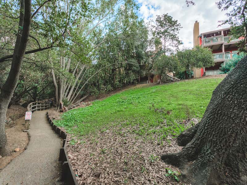 landscape grounds