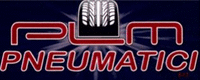 Plm Pneumatici-LOGO