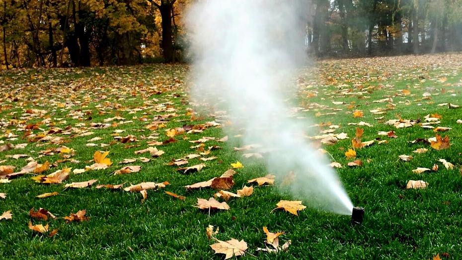 watering grass with leaves