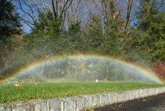 sprinkler5