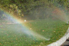 sprinkler6