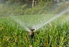 sprinkler7
