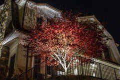 outdoor lighting9