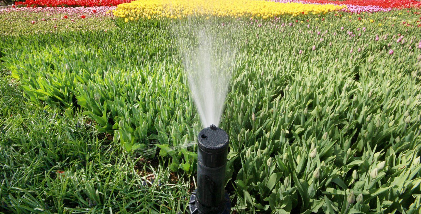 sprinkler
