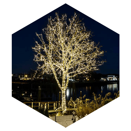 Event Lighting