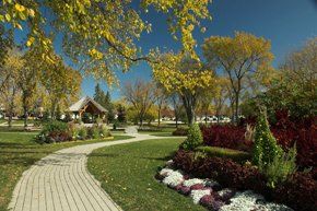 Driveways