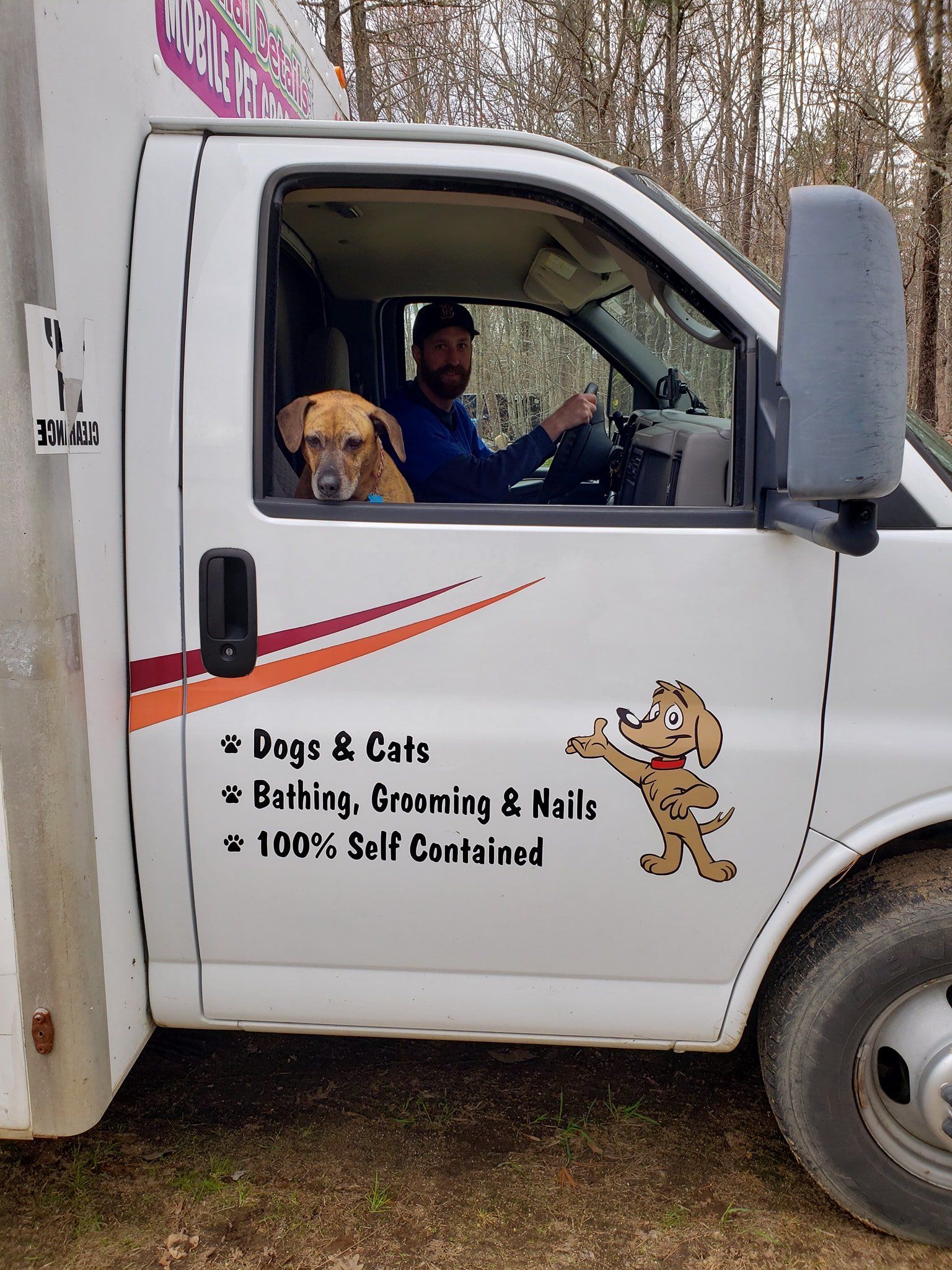 Mobile Pet Spa Front Seat — Barkingham Mobile Pet Spa — Nottingham, NH