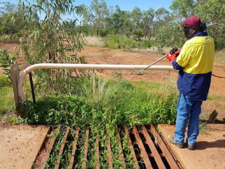 Irrigation spraying Irrigation spraying