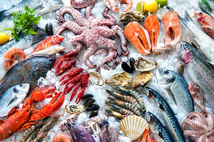 Seafood Company — Seafood on Ice in San Bruno, CA Seafood Company — Seafood on Ice in San Bruno, CA