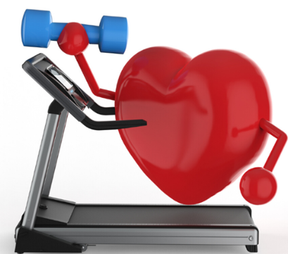 holter cardiaco