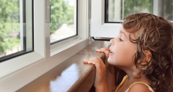 WINDOW PROTECTION