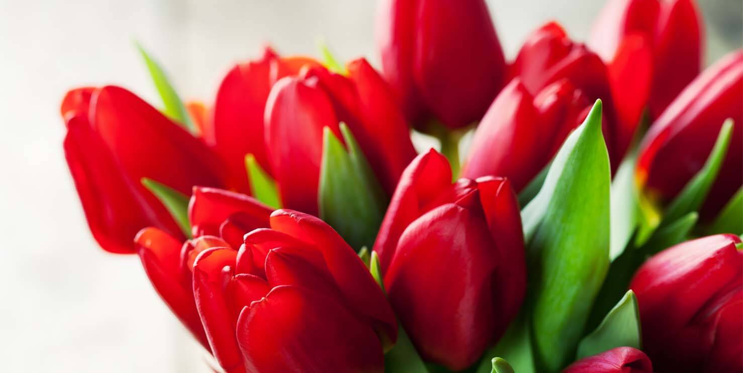 Florists Tewkesbury
