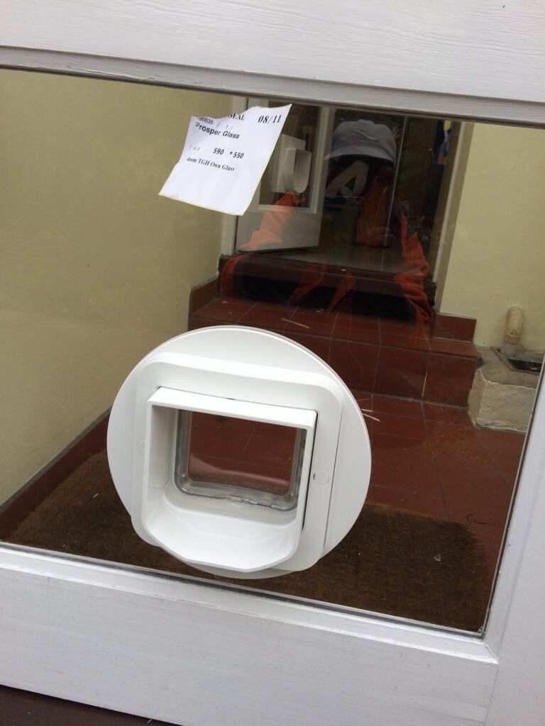 window repairs