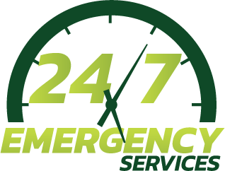 Branching Out Tree Service on Long Island with 24/7 Emergency Service Branching Out Tree Service on Long Island with 24/7 Emergency Service
