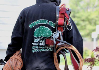 Branching Out Tree Service - Dependable Service