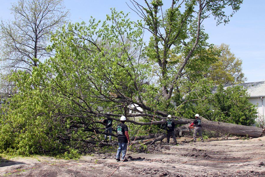 Land Clearing | Woodside, NY Land Clearing | Woodside, NY