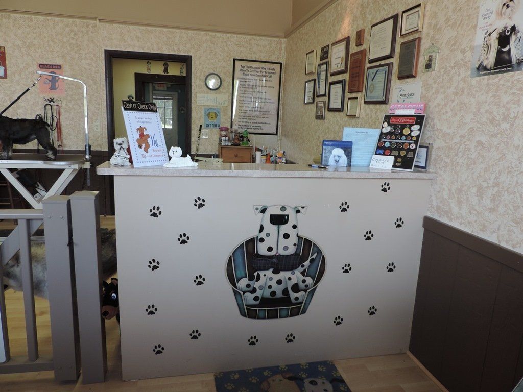 Expert Dog Groomers - Dog Groomers in Trumbull County, Ohio