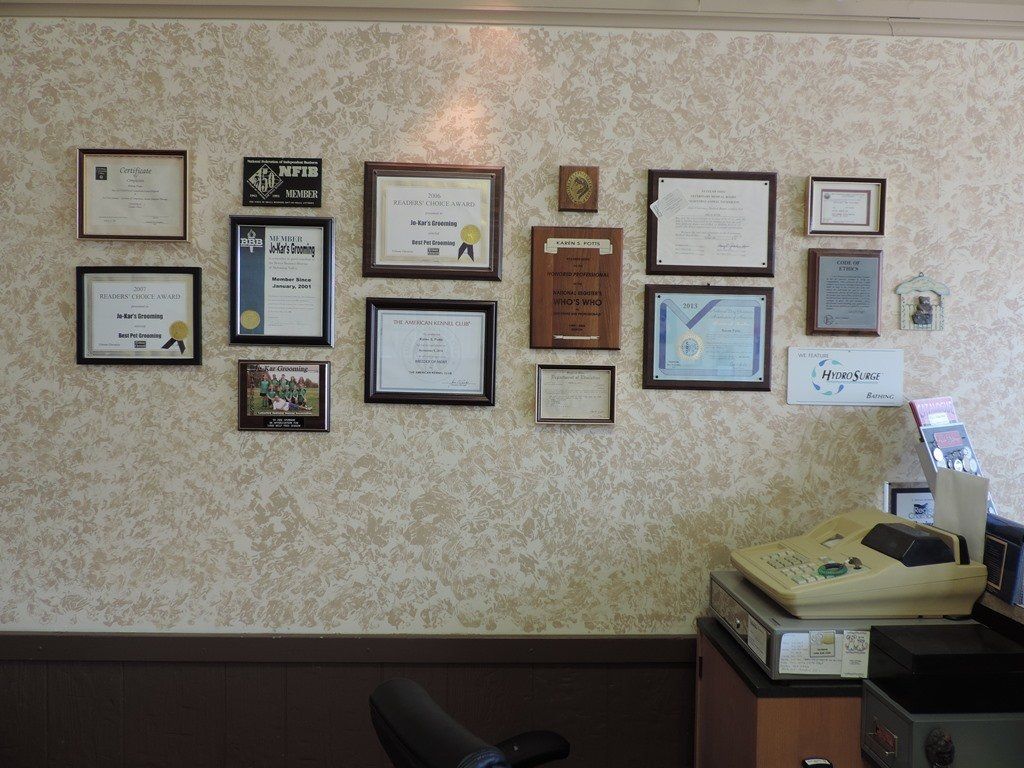 Certified Dog Groomers - Dog Groomers in Trumbull County, Ohio
