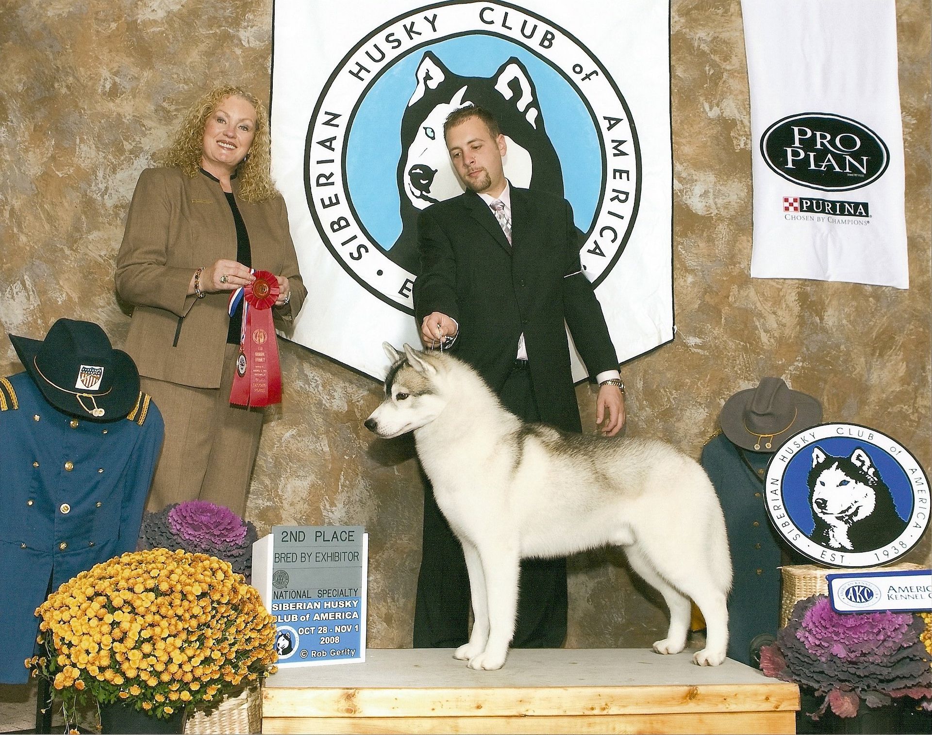 Siberian Husky - Grooming Services in Trumbull County, Ohio