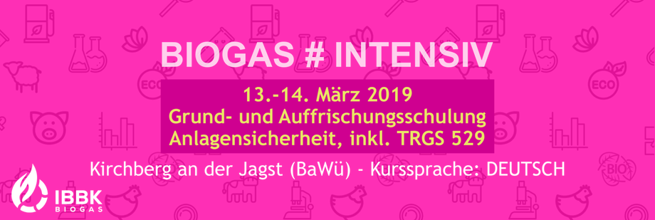 IBBK Biogas Intensiv März 2019
