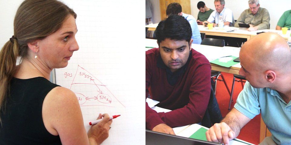 Course instructor explains explains ammonia vs ammonium. - Students check their data