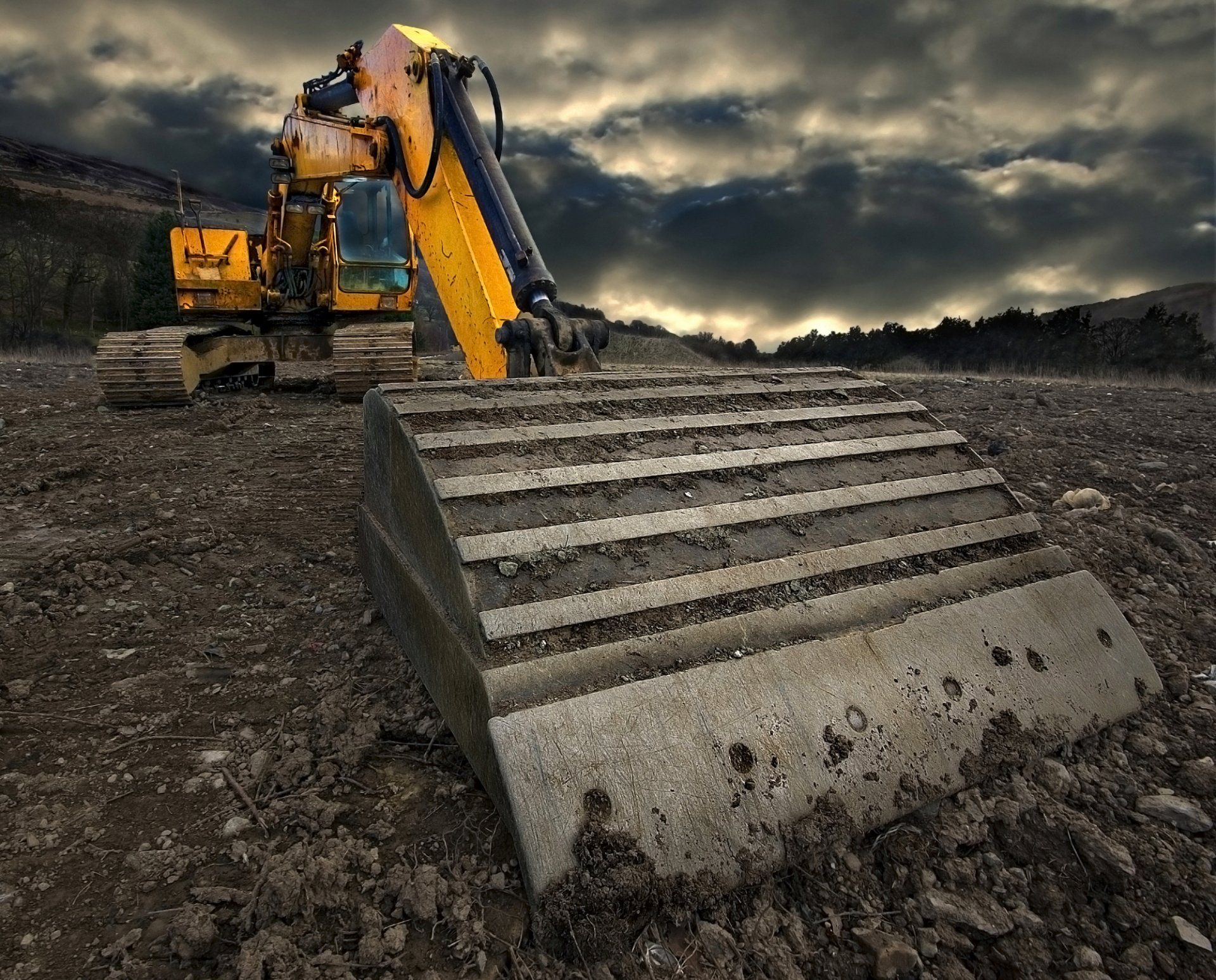 Excavator Services in Greenwood, TN | Black Label, LLC Excavator Services in Greenwood, TN | Black Label, LLC