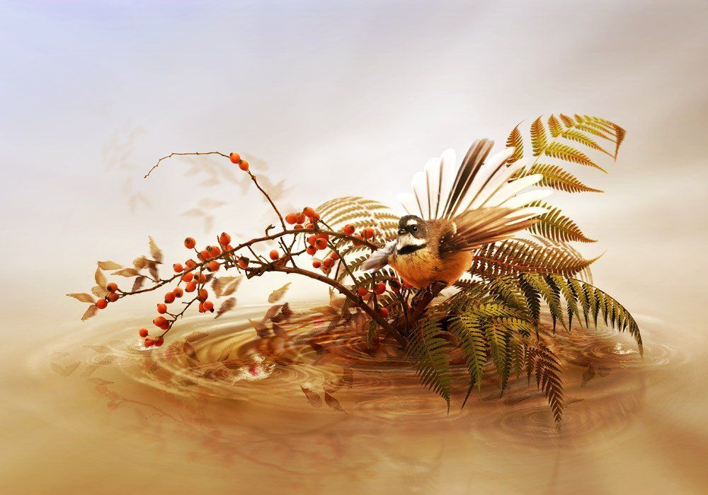 BIRDIE´S ISLAND
