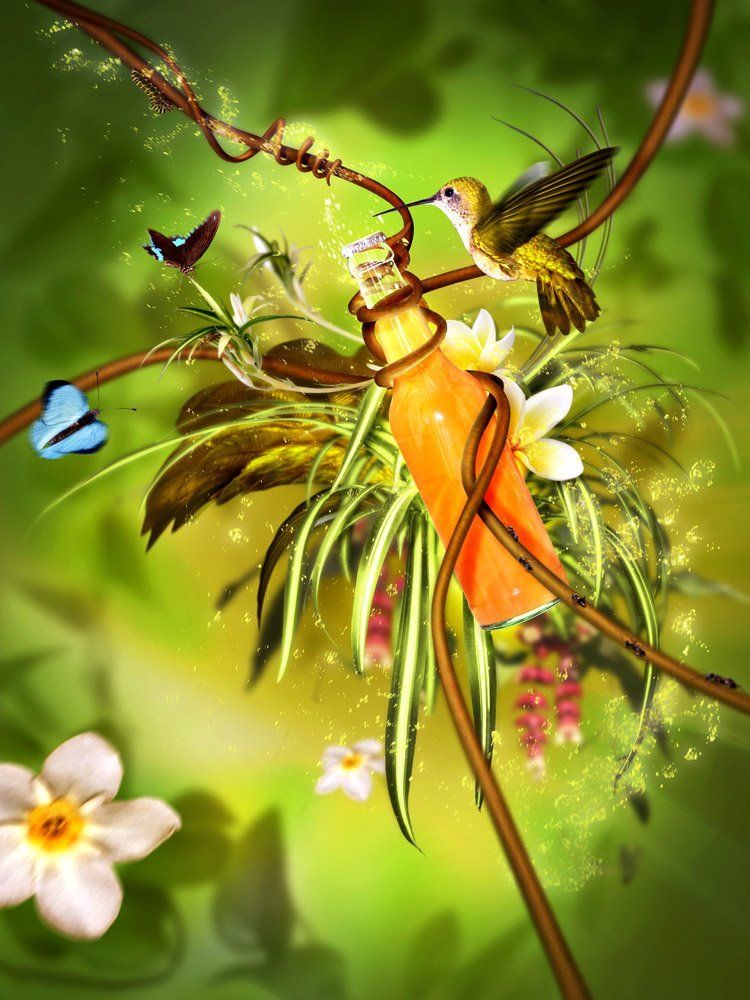 ORANGE PASSION