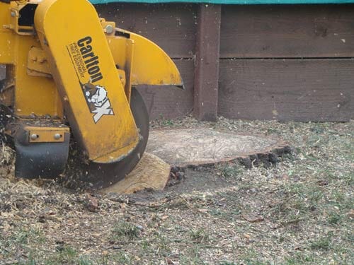 Tree stump grinding — Simply Trees in Manteca, CA