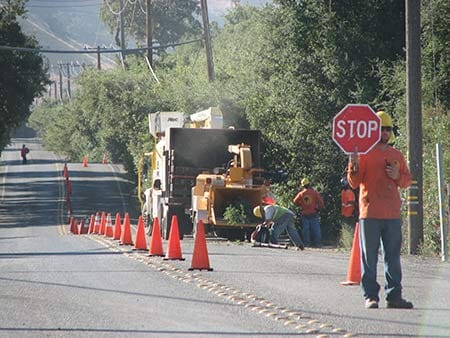 Trimming of trees on the road — Simply Trees in Manteca, CA
