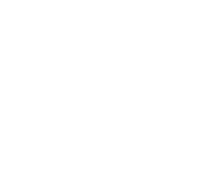 Crane Services
