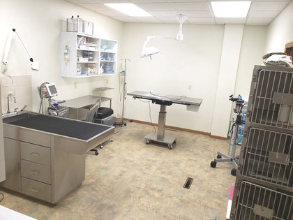 Surgical Suite Image — Animal Hospital in Yankton, SD Surgical Suite Image — Animal Hospital in Yankton, SD
