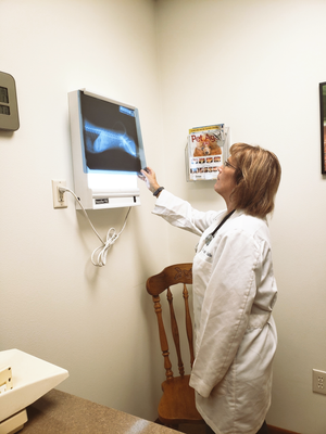 Diagnostics Picture — Animal Hospital in Yankton, SD Diagnostics Picture — Animal Hospital in Yankton, SD