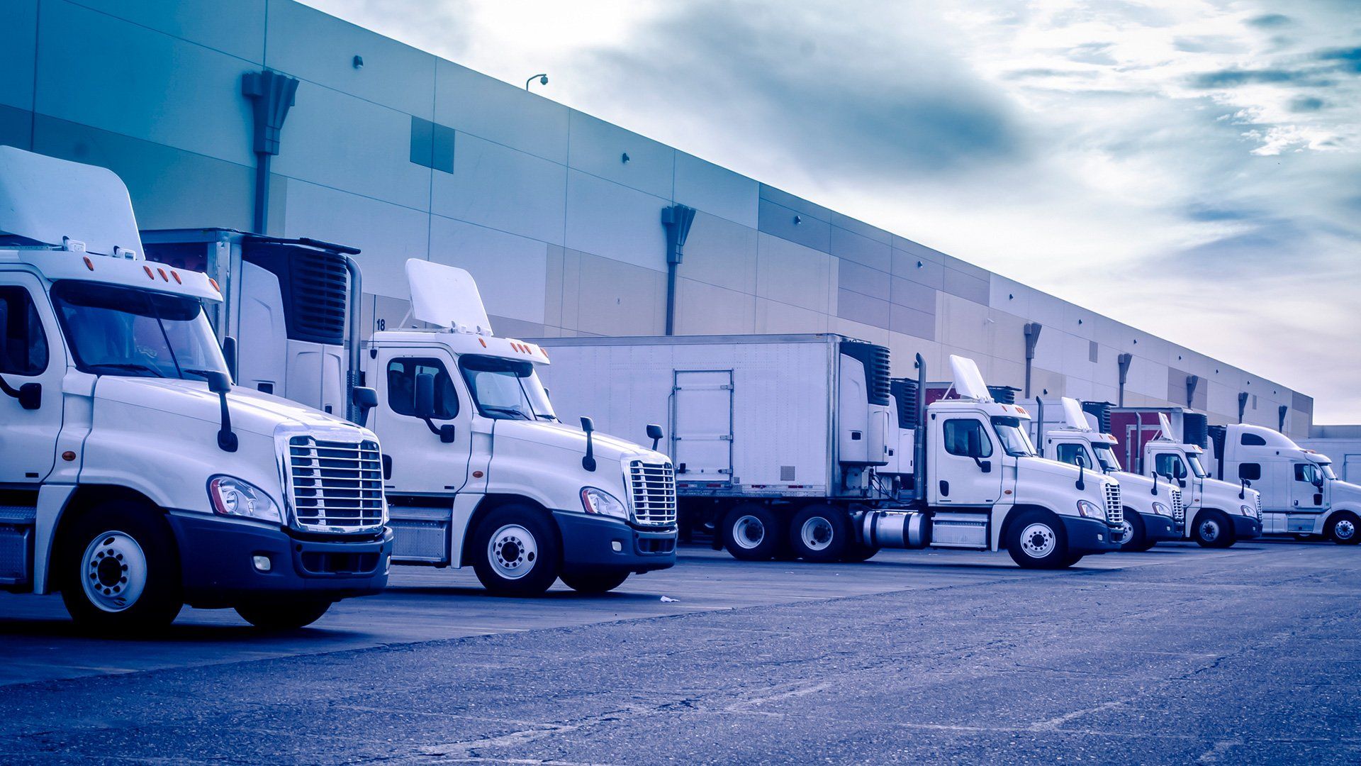 Row of White Trucks — Chattanooga, TN — Wagner Trailer Rental Row of White Trucks — Chattanooga, TN — Wagner Trailer Rental