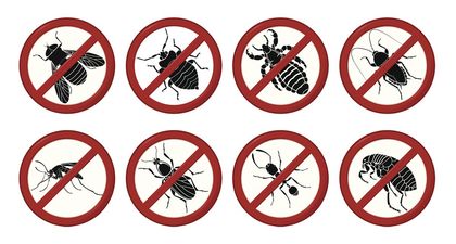 Pests - Pest Control in Wilson NC Pests - Pest Control in Wilson NC