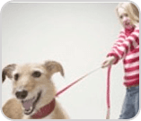 Little girl with dog on lead
