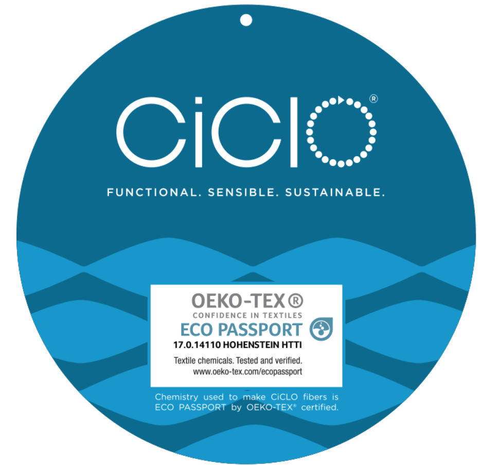A blue circle with the word ciclo on it