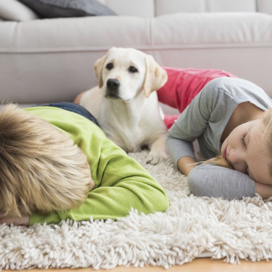 A boy and a girl are laying on the floor with a dog in the background