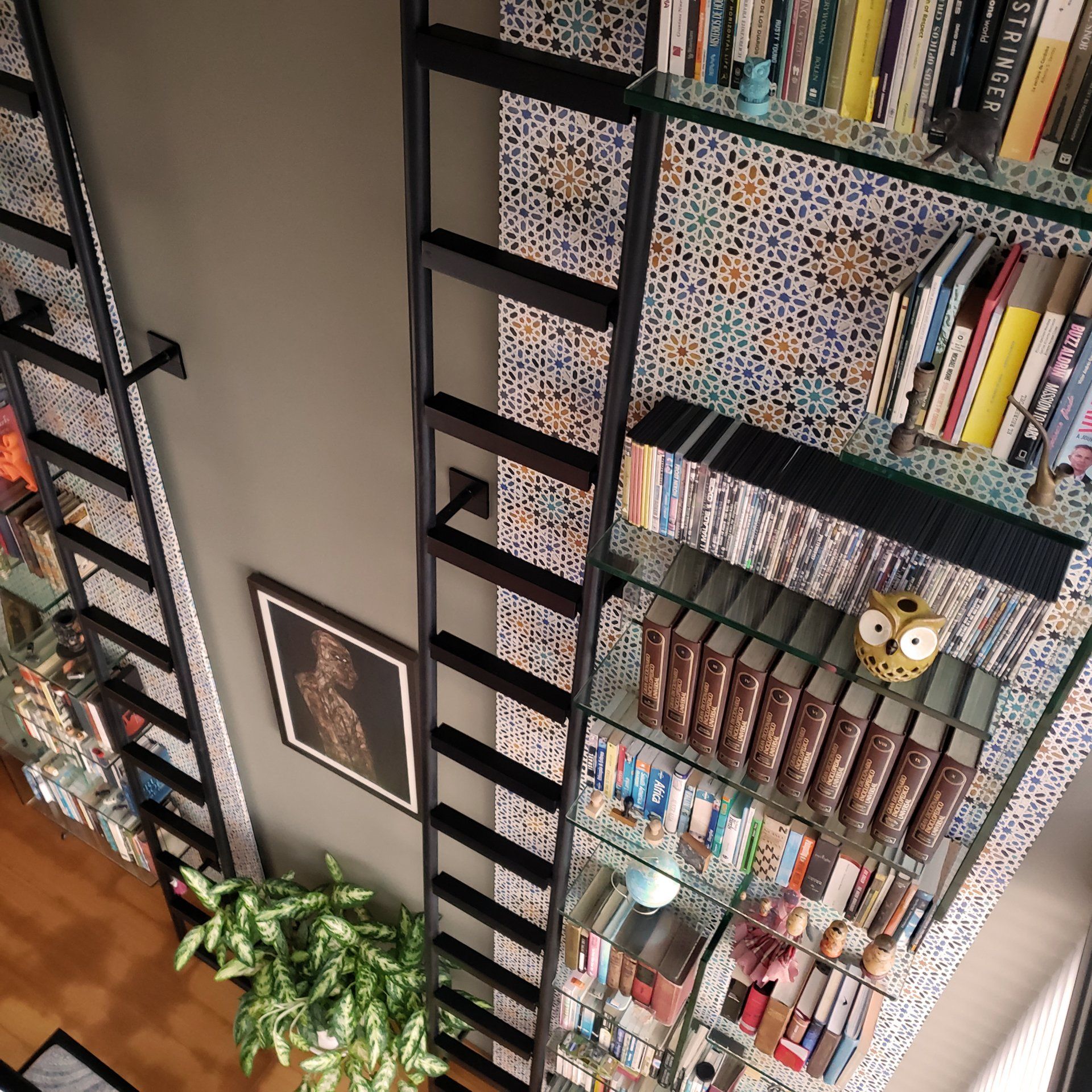 Una estantería con una escalera que conduce a ella.