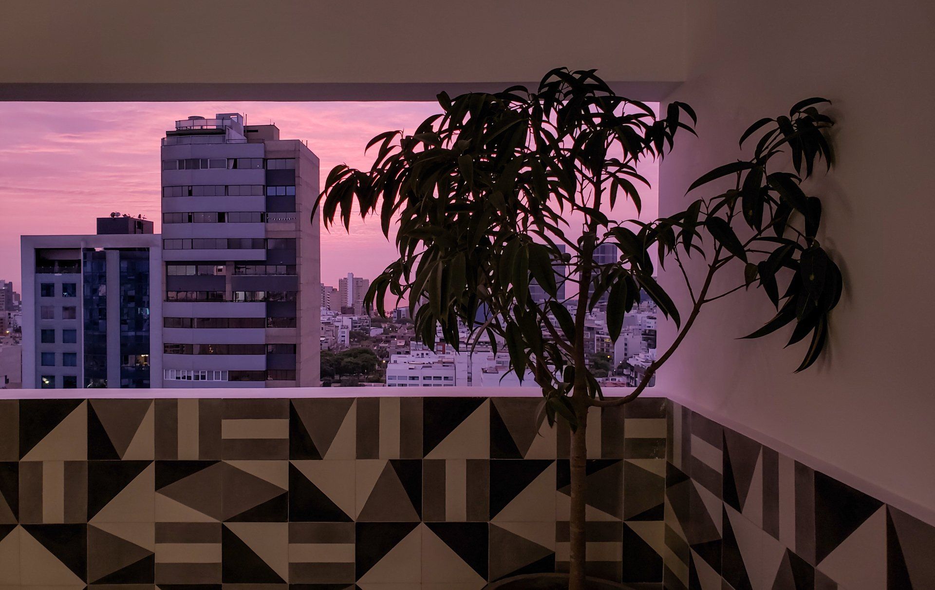 Una planta está sentada en un balcón con vistas a una ciudad al atardecer.