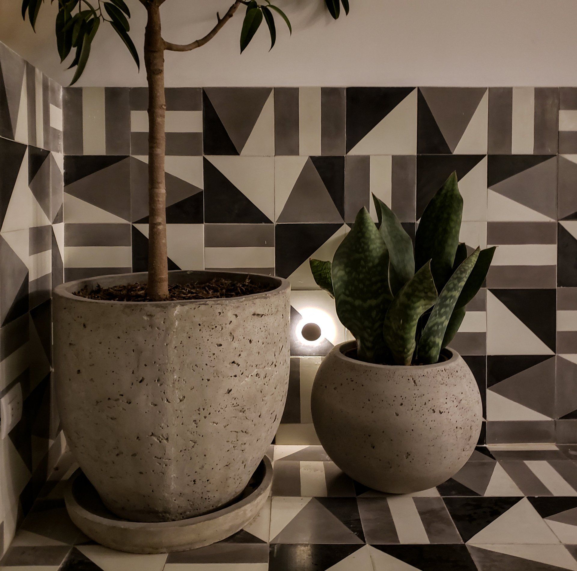 Dos plantas en macetas frente a una pared con azulejos geométricos.