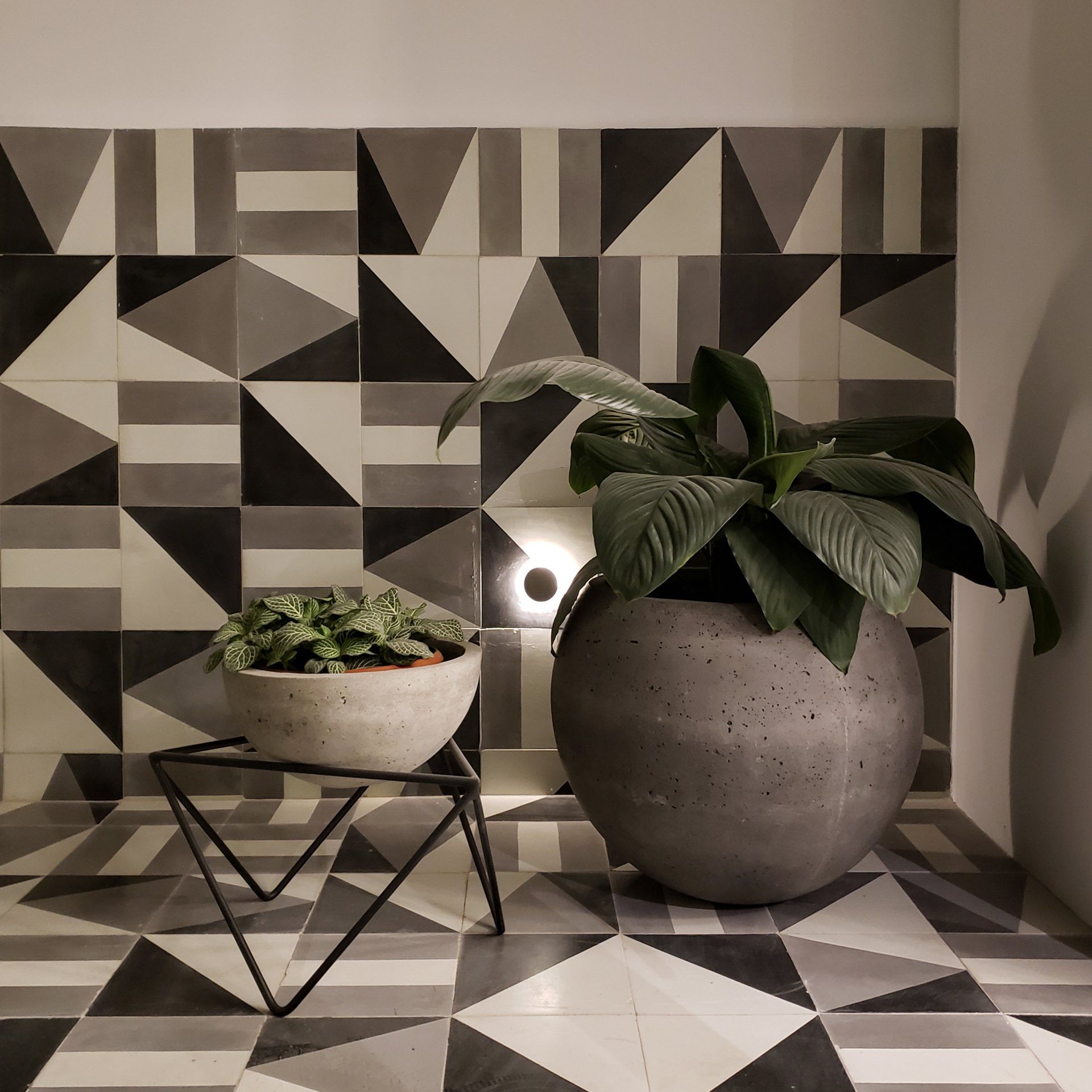 Una planta en maceta frente a una pared con azulejos geométricos.