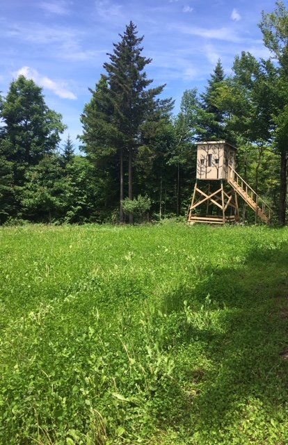 Finished Food Plot Services in VT