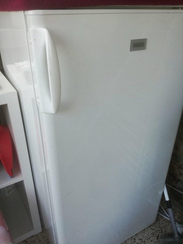 frigo
