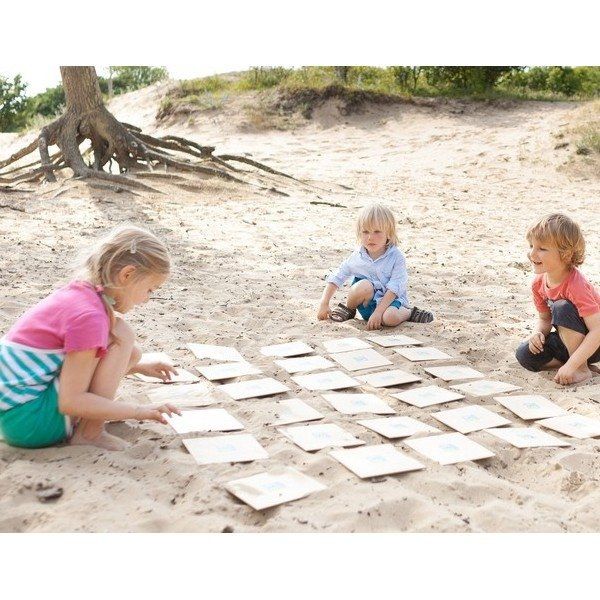 cartes maxi